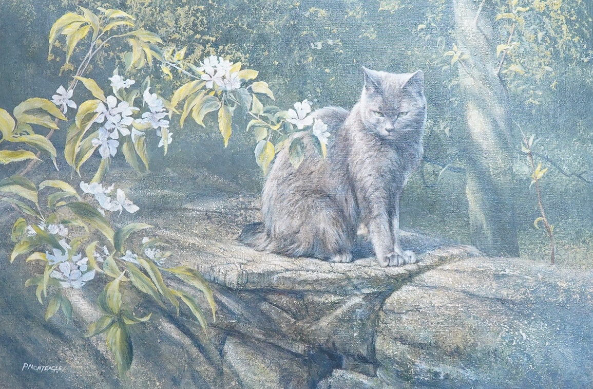Paul Monteagle (Contemporary), Study of a cat amongst flowers, signed, Llewellyn Alexander, London, inscribed label verso, oil on canvas, 49 x 74cm
